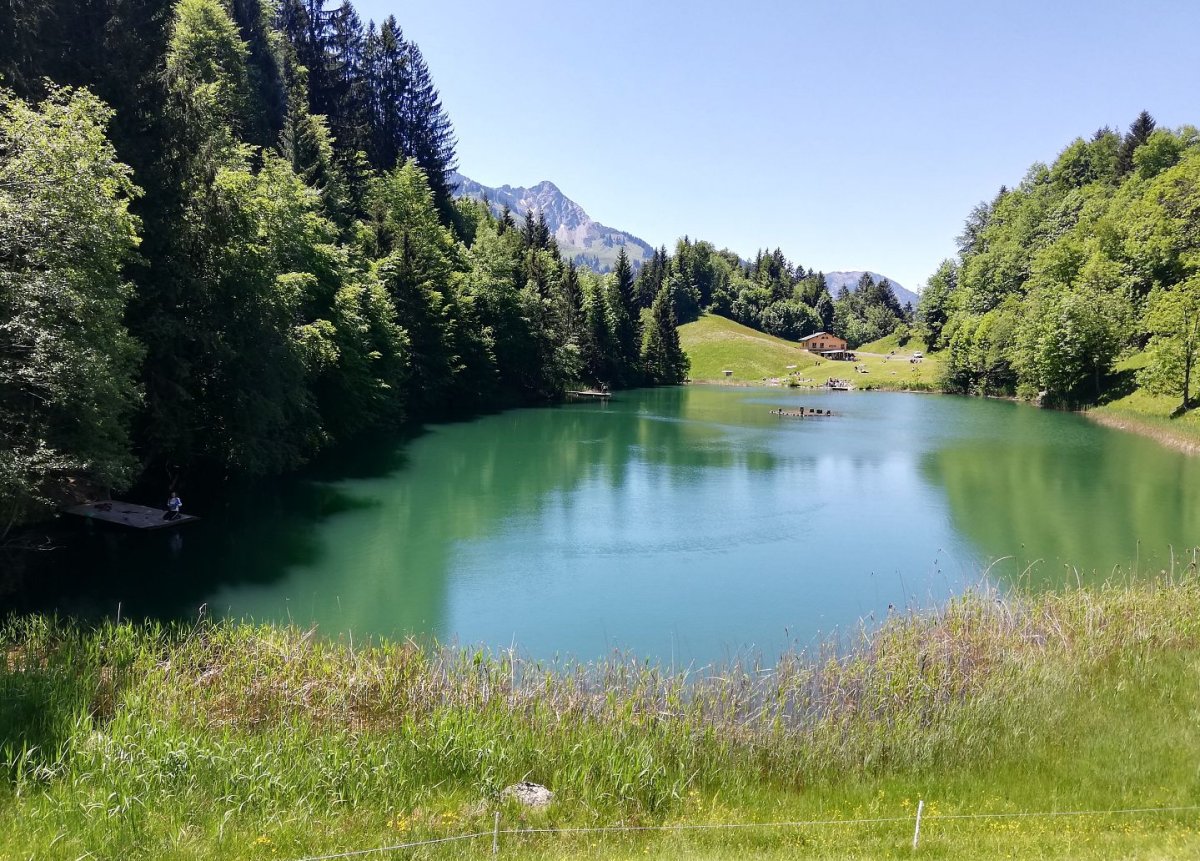 © Damüls Tourismus